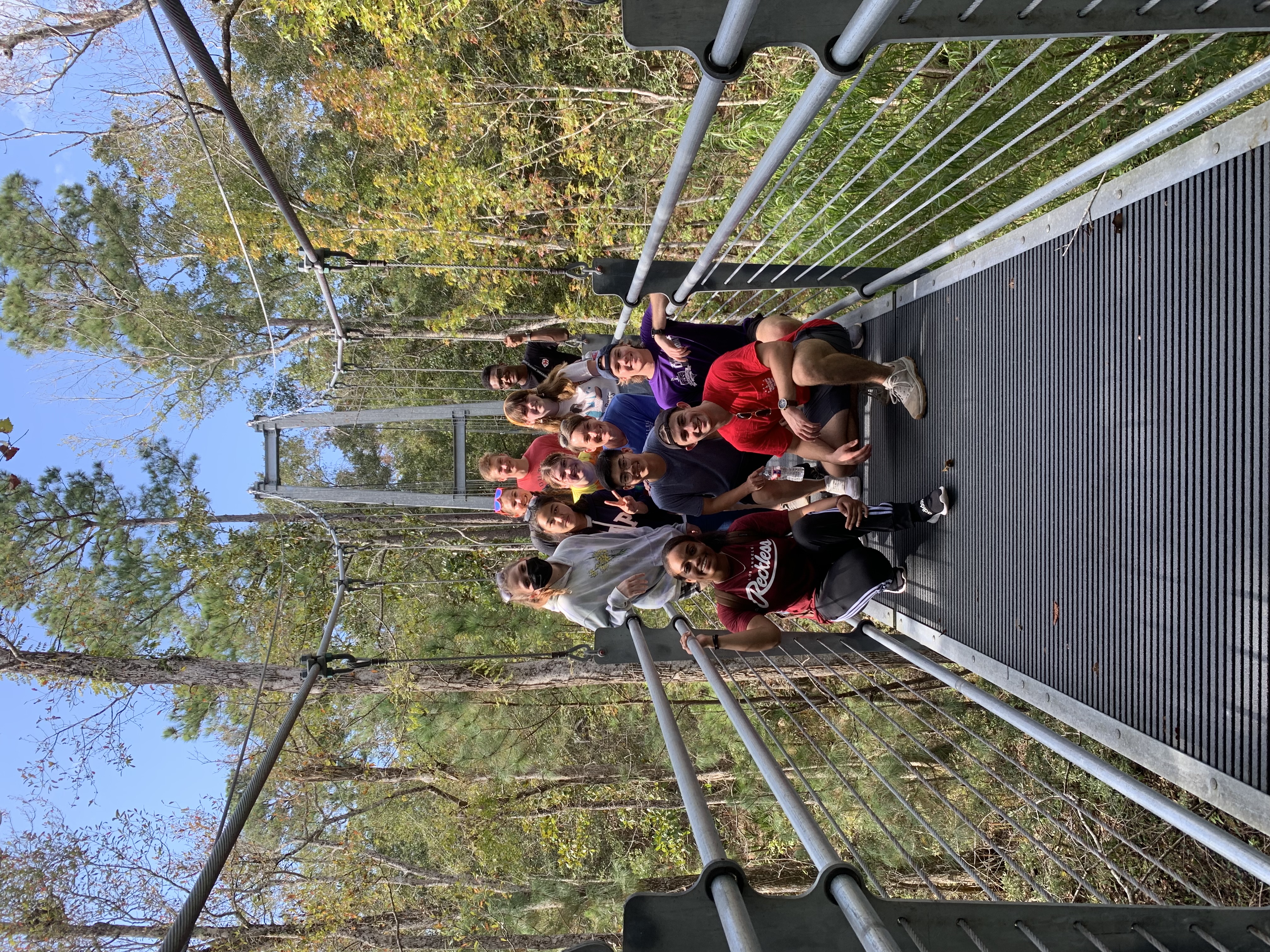 Honors students standing on a bridge in a forest