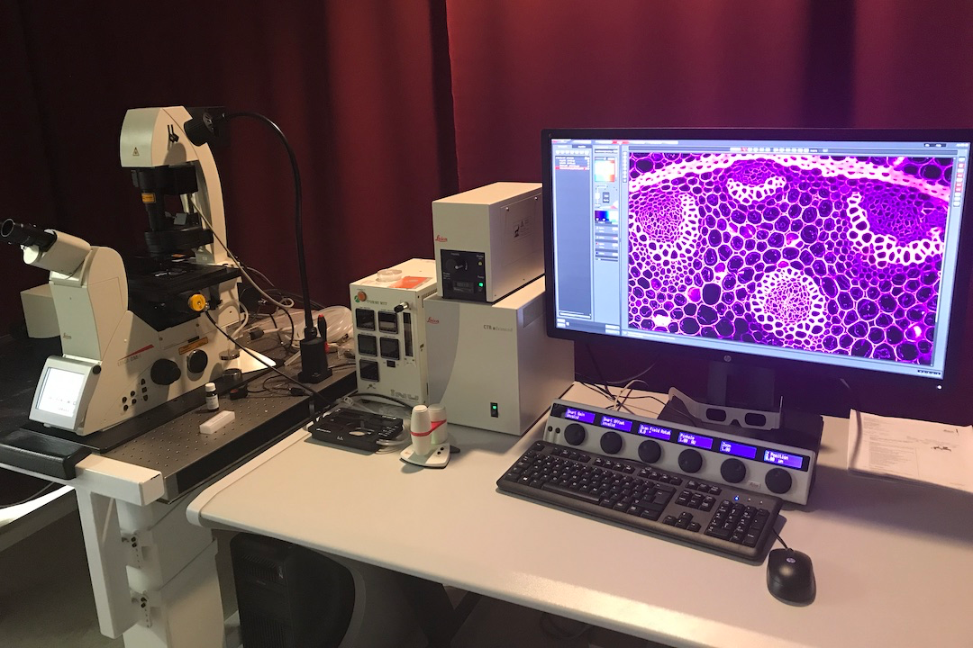 An image of the Leica Stellaris STED super-resolution confocal microscope