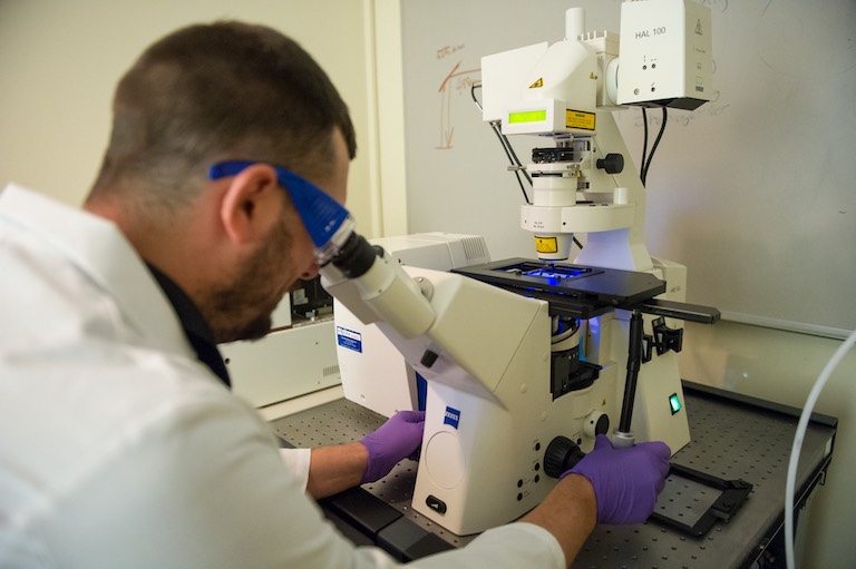A student using a microscope