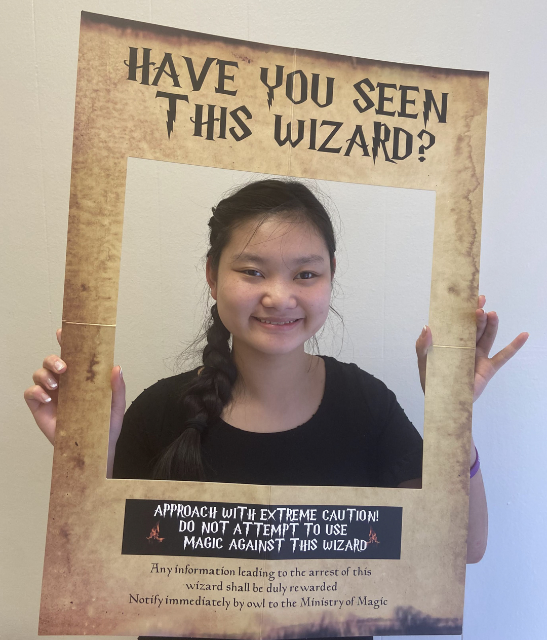Lily HP Internship