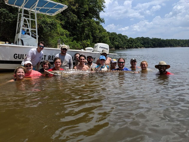 Summer Field Program Summer