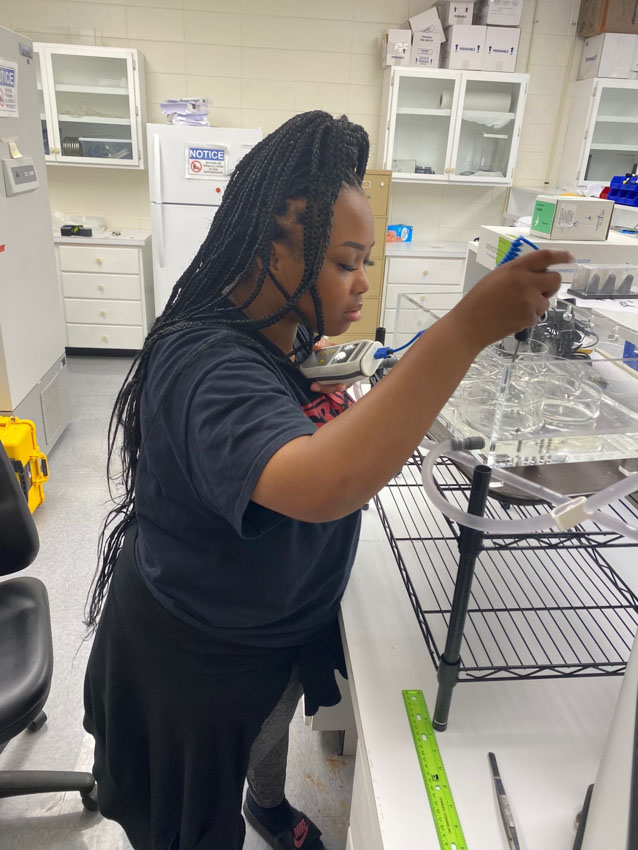 Ocean Explorers Program intern