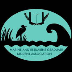 MESA Logo