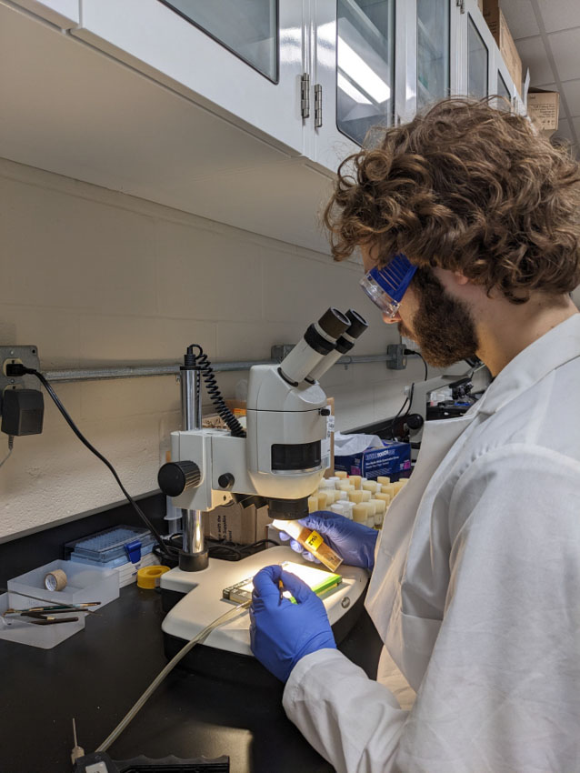 Goldwater Scholarship USM