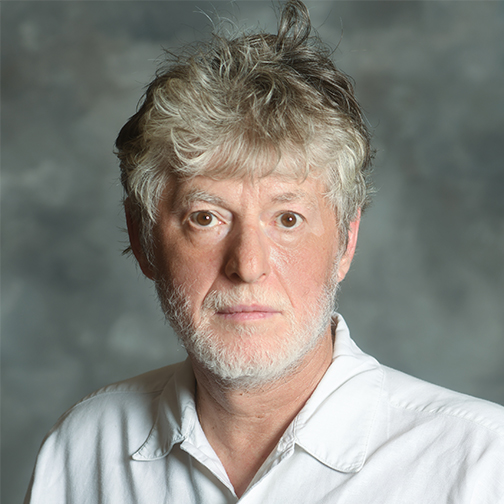 Dr. Dmitri Netchaev Photo of Dr. Dmitri Netchaev