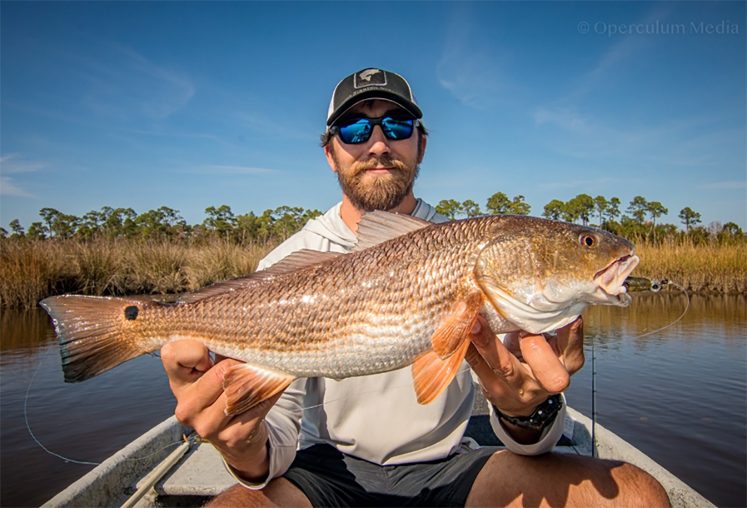 fisherman red drum placeholder