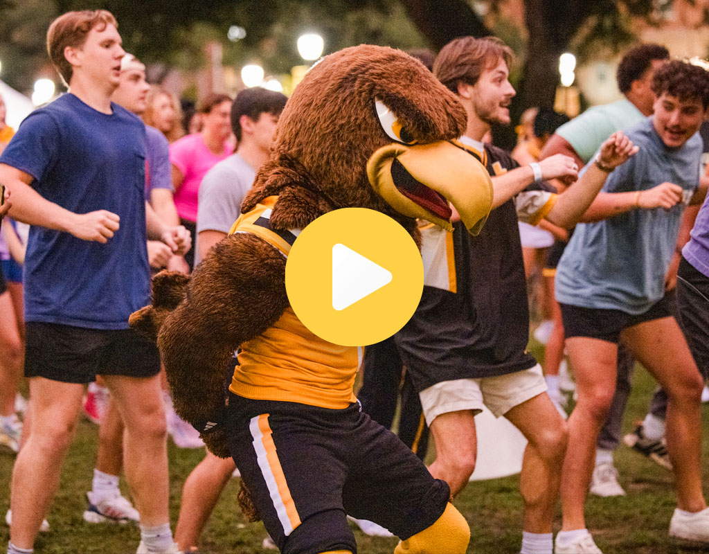 Play Gameday at the Rock video