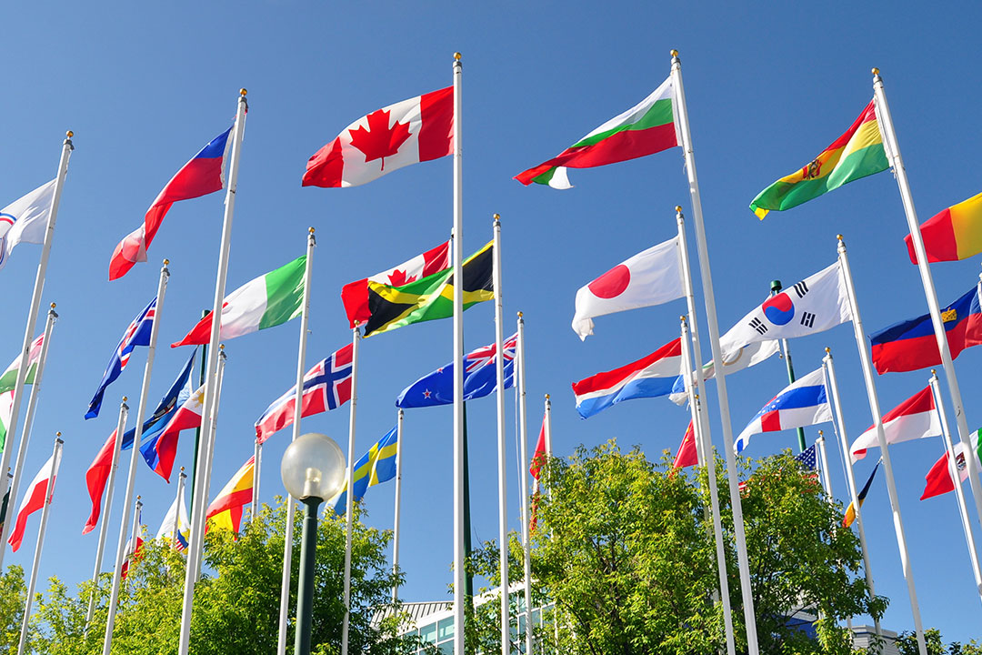 International Business