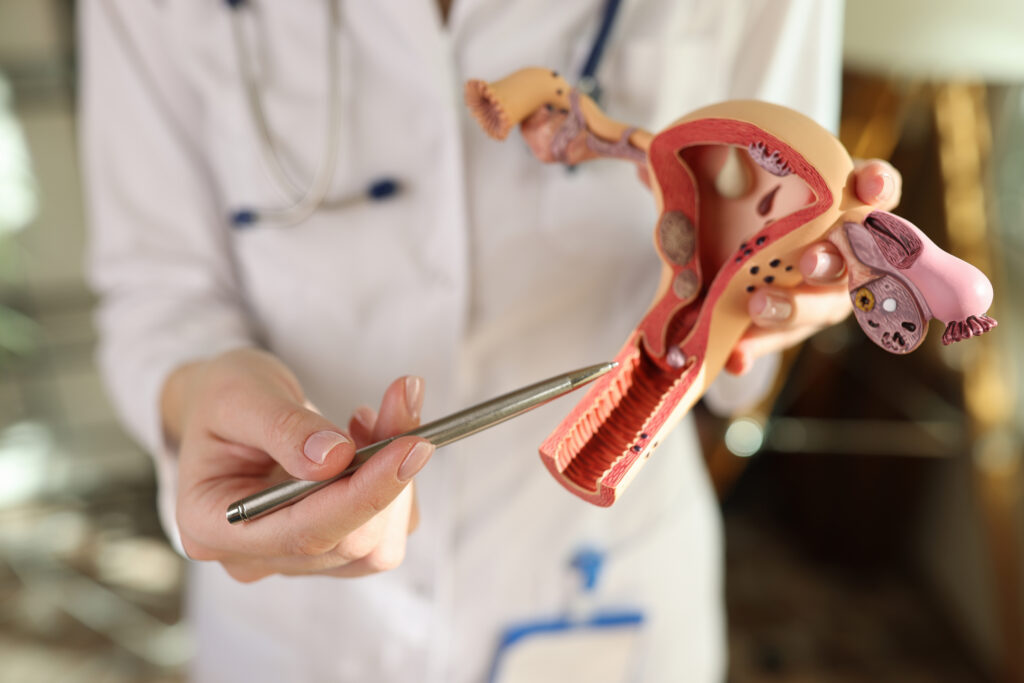 Gynecology Stock Image